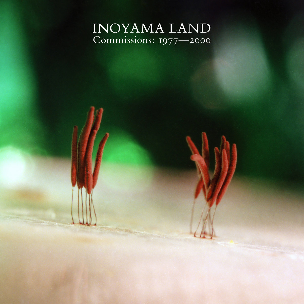 イノヤマランド Commissions 1977-2000 2LP 新品 送料込 Inoyama Land – Commissions: 1977-2000 (2LP) – Soundohm
