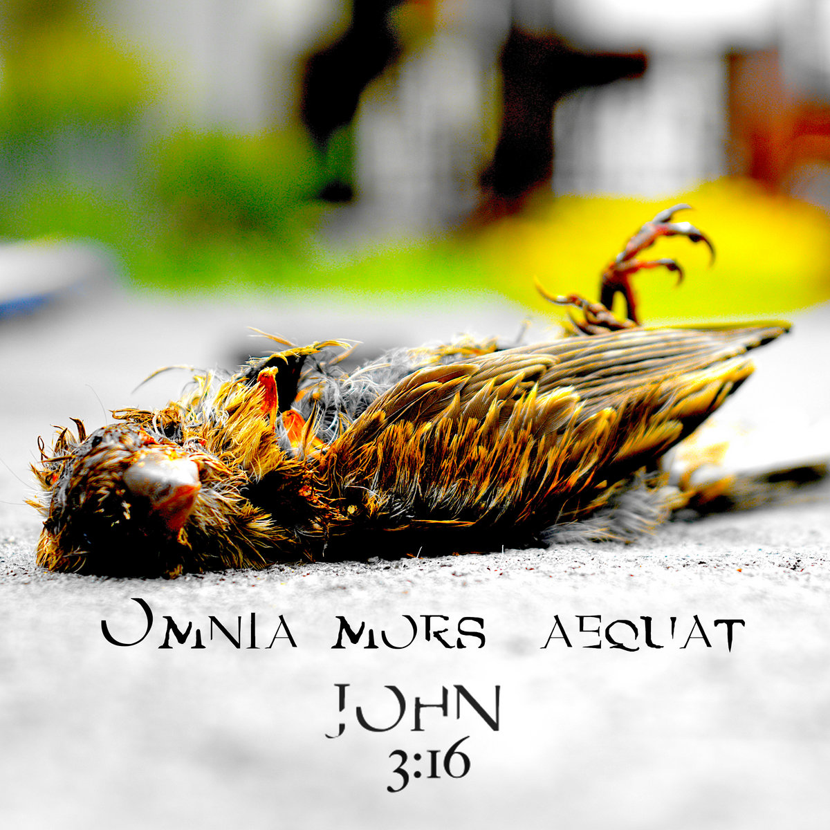Omnia Mors Aequat (Alrealon Musique) JOHN