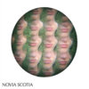 Novia Scotia - EP Cover Art