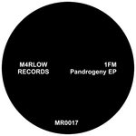 MR0017 - 1FM, Soulstize - Pandrogeny EP