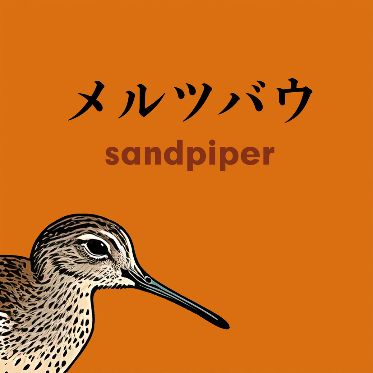 Sandpiper