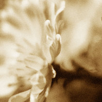 ephemera 01 cover art