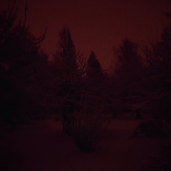 Eventide Shadow | Sorrow Solace