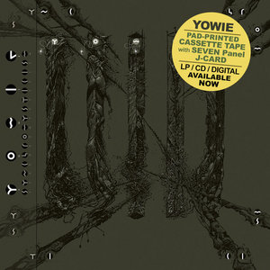 Synchromysticism cover