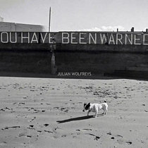 You Have Been Warned cover art