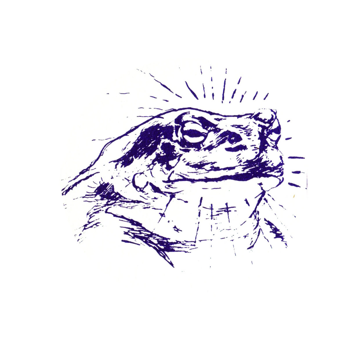 g*2様 Bardo Pond Bardo alvarius レコード Bufo Alvarius | Bardo Pond