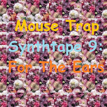 Synthtape 9: For The Ears cover art