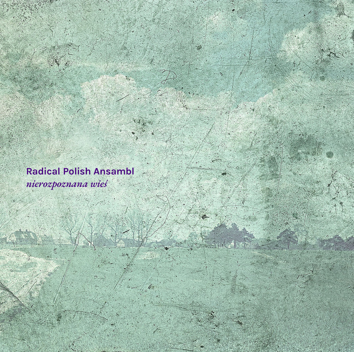 nierozpoznana wieś | Radical Polish Ansambl