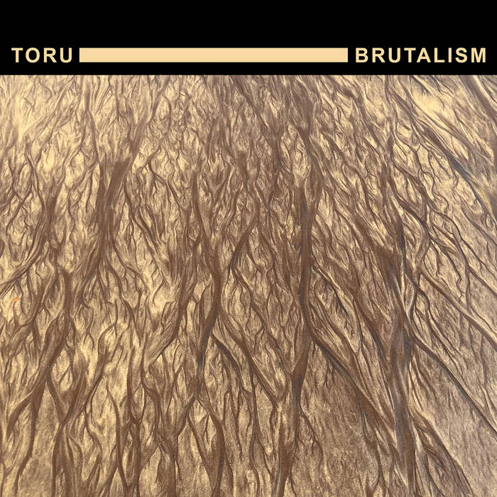 Toru_brutalism Split