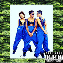 vybs | GREEN ASSASSIN DOLLAR | heliostruction