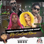 Shabba Ranks x Spice x Vybz Kartel x Shenseea - NEEDLE EYE MEK HIM COME HOME PUNANI REMIX (RAW/CLEAN) by DjCris-Cross