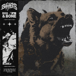 Dog & Bone cover