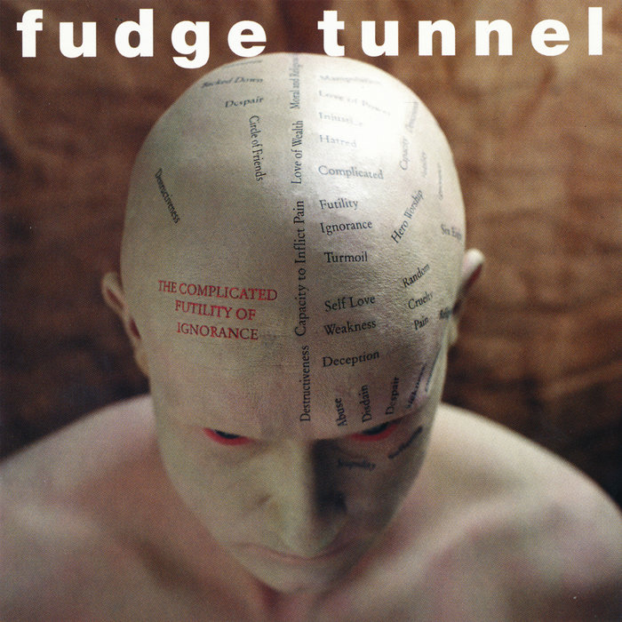 Fudge Tunnel Complicated 1994年日本製CD a0388262626_5.jpg