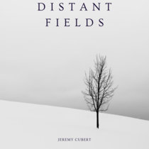 Distant Fields cover art