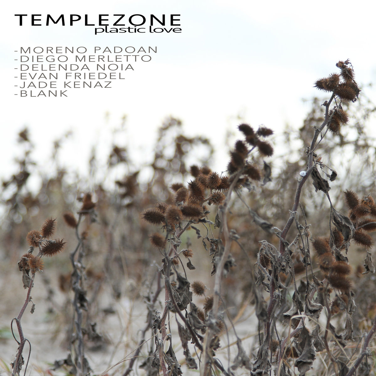 Plastic Love | Templezone | Final Muzik
