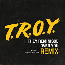 Pete Rock & C.L. Smooth - T.R.O.Y. (They Reminisce Over You) (Amerigo Gazaway Remix) cover art