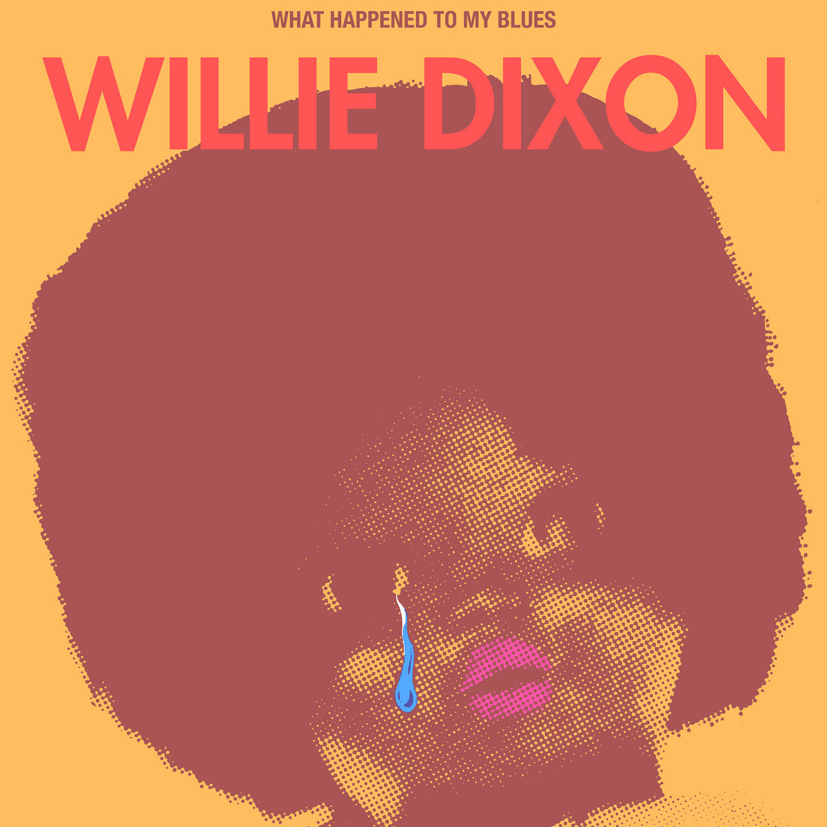 米LP Willie Dixon Ginger Ale Afternoon VS5234 Var?se Sarabande 未
