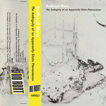 "The Ambiguity of an Apparently Static Phenomenon" (NRR82) cover art
