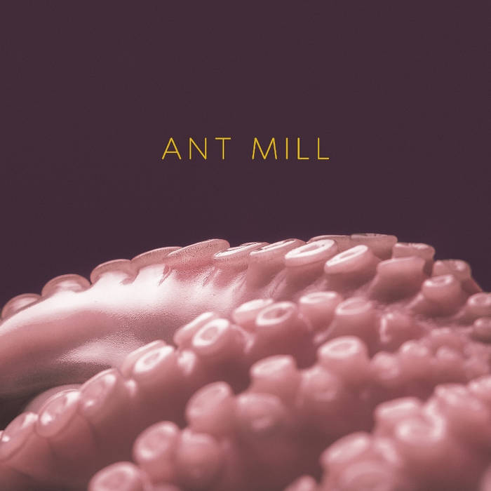 ant mill