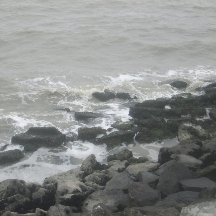 Albany State Marine Reserve | TCLB