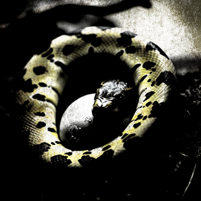 The Unknown | Zen Of Python