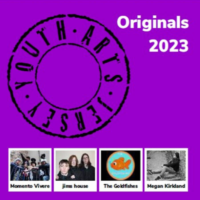 Feel This Way The Goldfishes Youth Arts Jersey