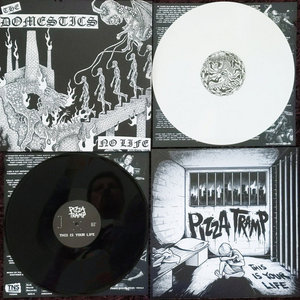 Pizzatramp / Domestics Split cover