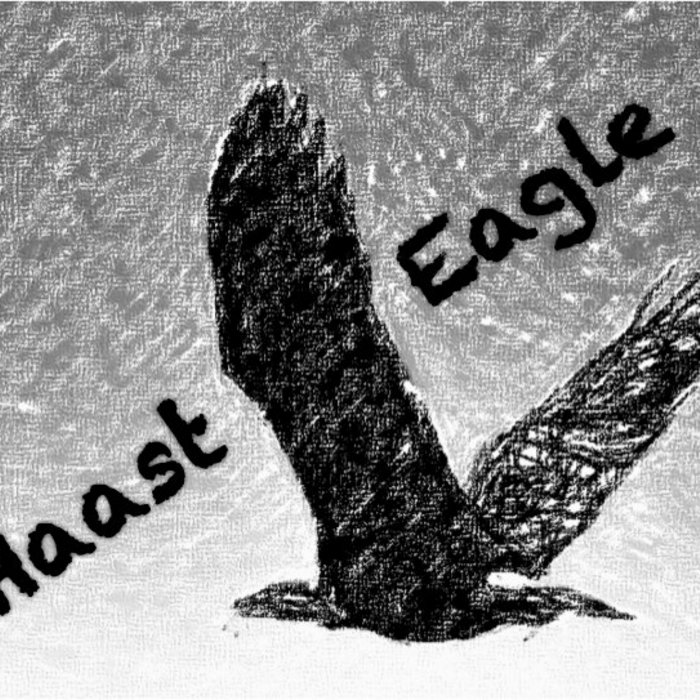 Losing Your Honour Haast Eagle
