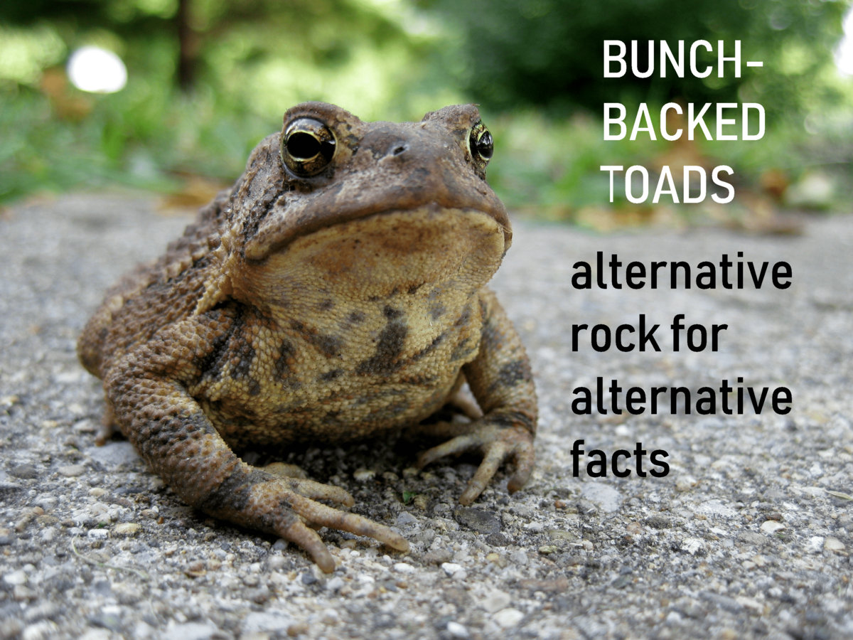 Alternative Rock for Alternative Facts BunchBacked Toads