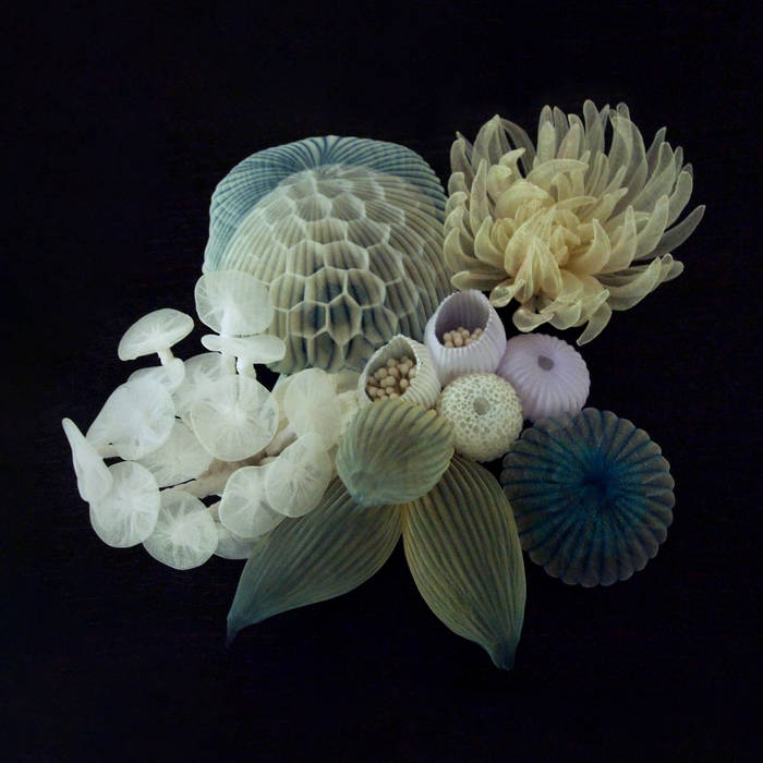 Low Island Life In Miniature out out