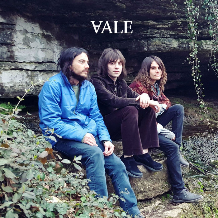 VALE | VALE display picture 1