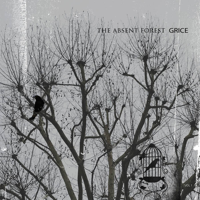 Pointless Beauty - After & Before (Square) 300 x 300