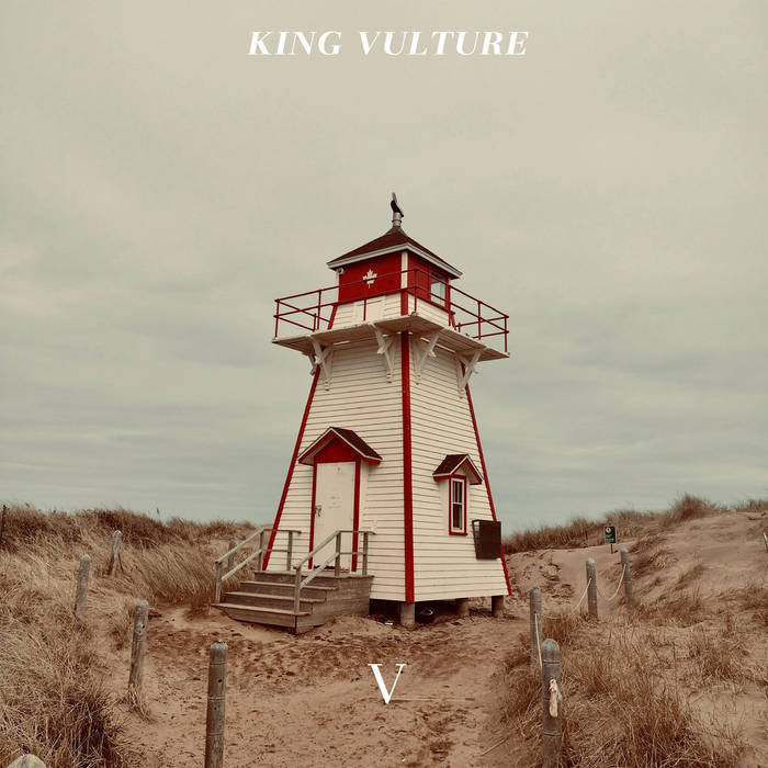 V King Vulture