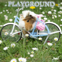 Playground ft. Alan Watts cover art