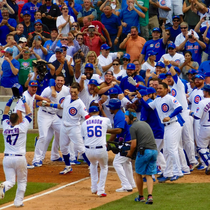 Cubs Canon 2017 Danny Rockett Bleacher Bum Band