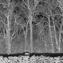 Pile - Sunshine and Balance Beams