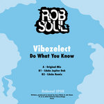 Vibezelect (Cory Wells, Jah Ques) - Do What You Know