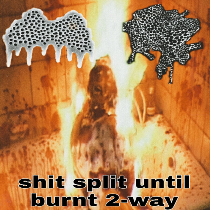 Shit split until burnt 2-way | Wistrol/Violent Memories | Wistrol