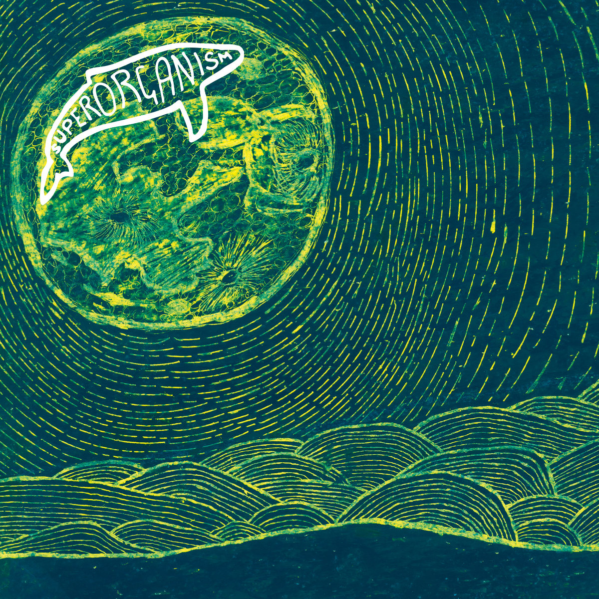 Image result for superorganism album cover