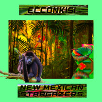 EccoNkisi / New Mexican Stargazers cover art