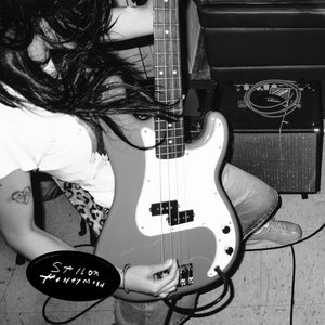 Pickle cover