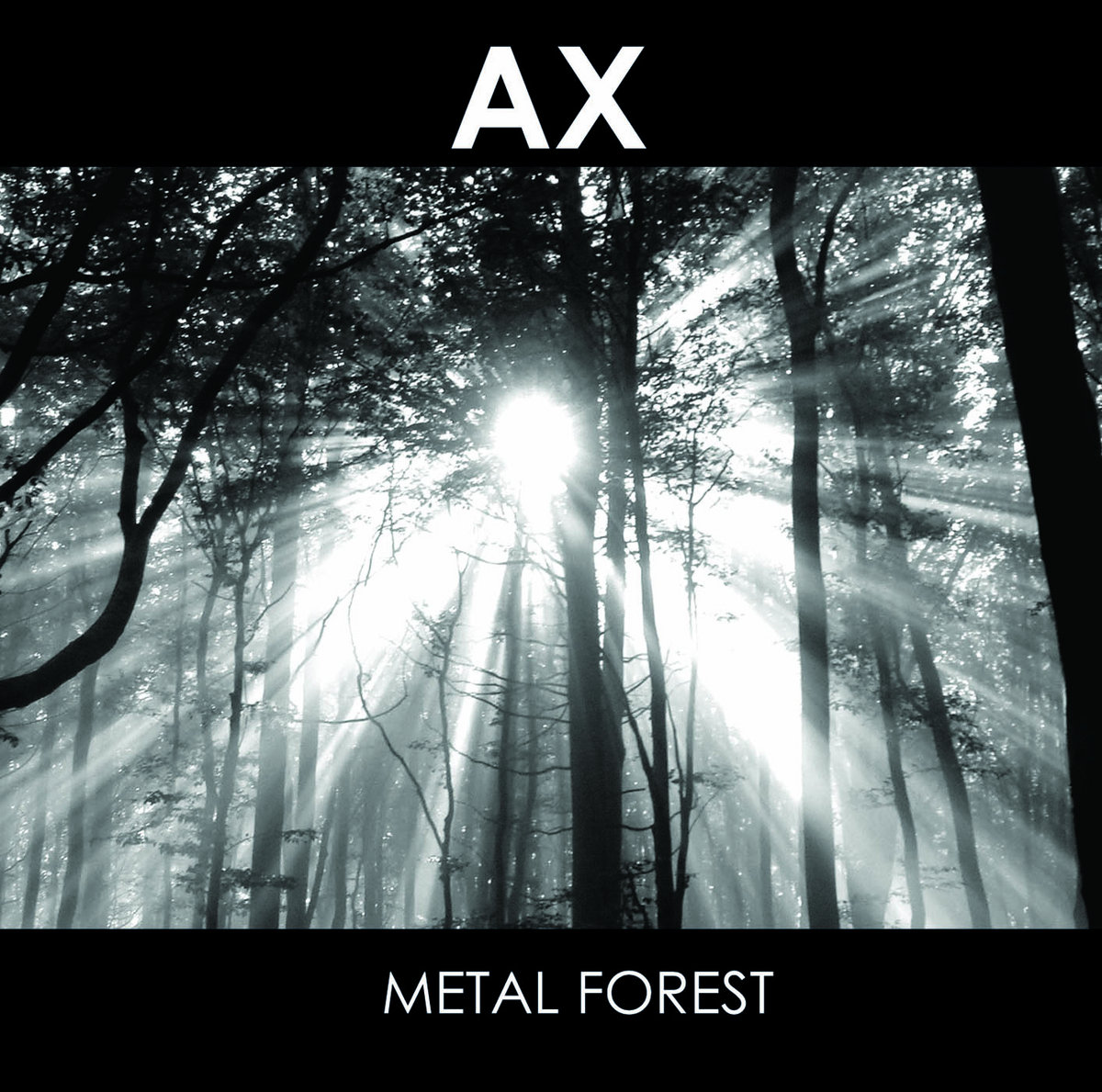 Metal Forest (CSR167CD) | AX | Cold Spring