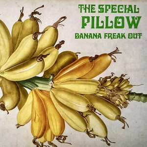 Banana Freak Out cover