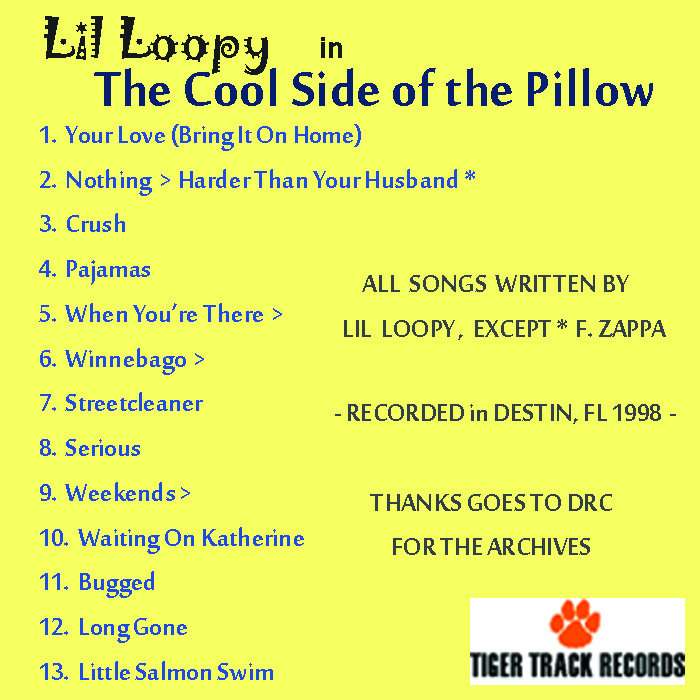 Nothing Harder Than Your Husband Lil Loopy The False Profits the false profits bandcamp
