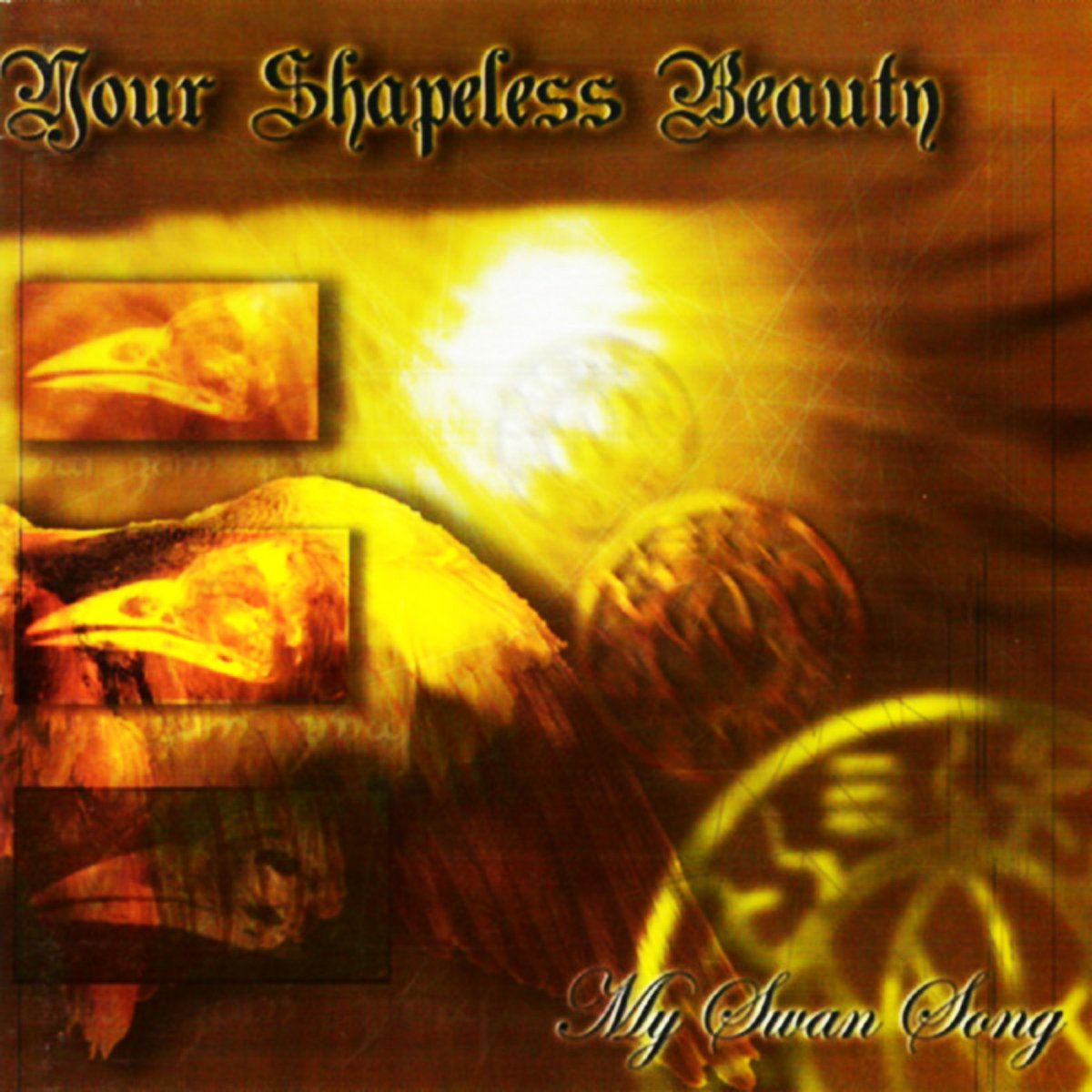 Your Shapeless Beauty | Your Shapeless Beauty