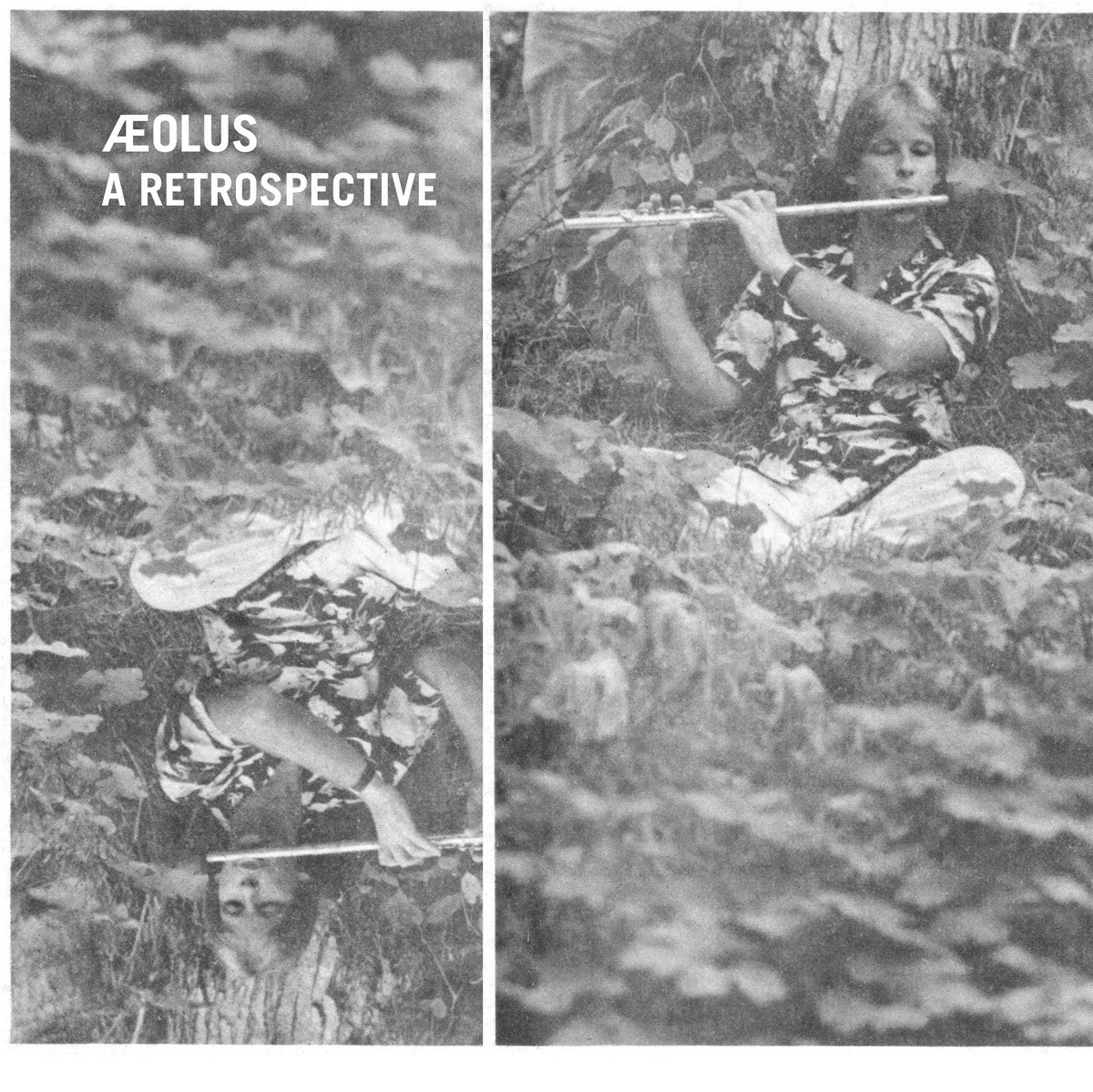 米2LP Aeolus A Retrospective AGSLP003 Aloha Got Soul /00520 a0405722270_10.jpg