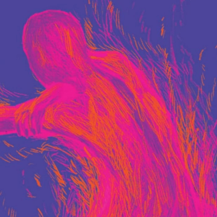 Record Living Bufflegum Lost Wave Record