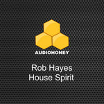 Rob Hayes - House Spirit