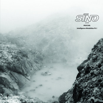 Technasia/Sino （9枚セット） レコード レーベル TECHNO Technasia/Sino （9枚セット） レコード レーベル TECHNO