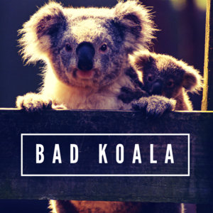 Bad Koala cover